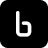 Binarly logo