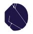 Dapple Security logo