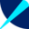 Ray Security logo